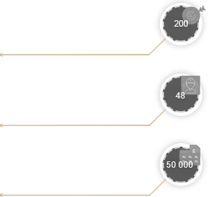 17 лет опыта